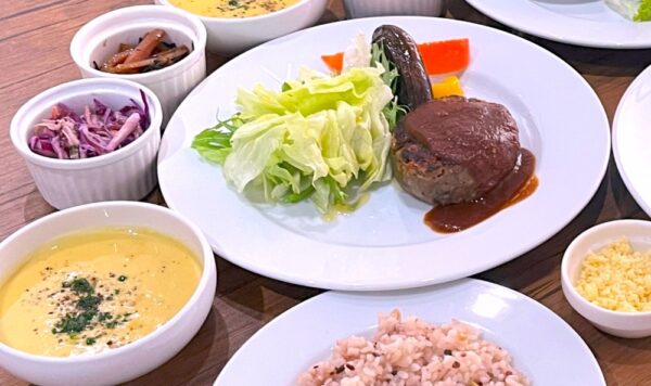 vegan eat tokyo_蓮根ハンバーグ