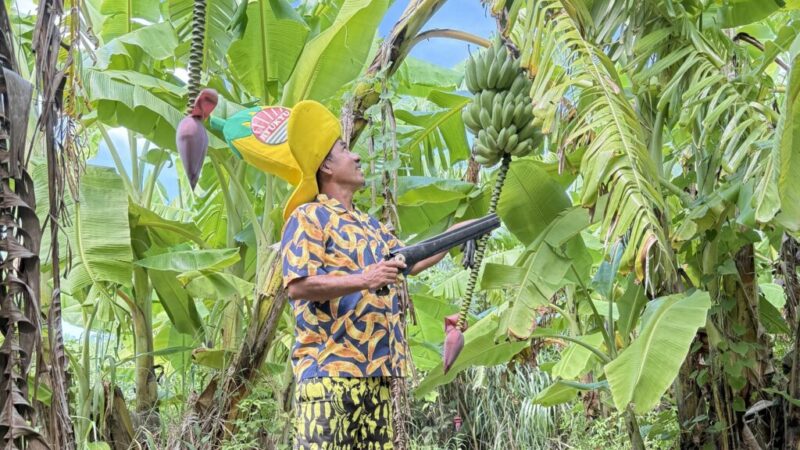 アップルバナナ農家・バナナおじさんこと、林 誠さん