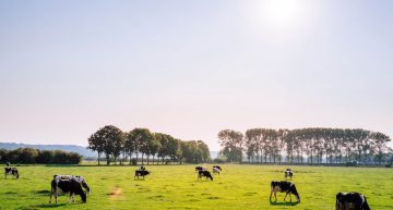 気候科学における畜産の影響度