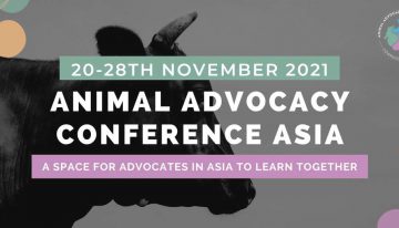 アジアで活躍する動物のための活動家による講演。カンファレンス開催