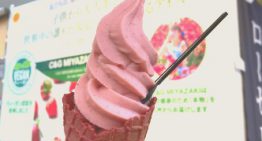 大好評！宮崎のヴィーガンソフトクリームが期間限定で東京で食べられる＠東武百貨店池袋店