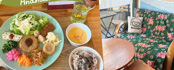 静岡駅すぐヴィーガンレストランAnanda