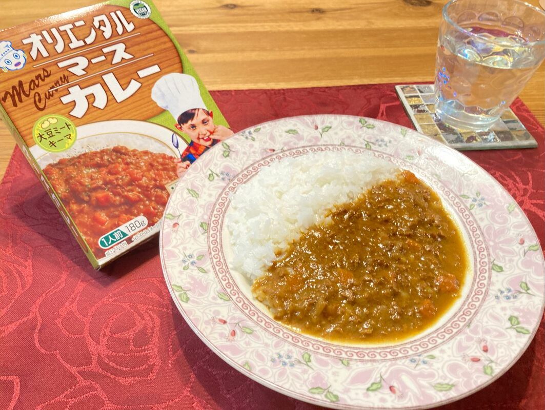 キーマカレーの写真