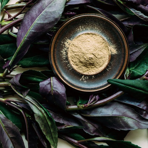 金時草の粉末と金時草の葉っぱ