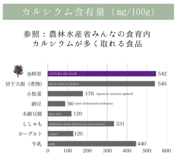 カルシウム含有量（mg/100g）542。k李母子大根は540、小松菜は170、納豆は90、木綿豆腐は120、ししゃもは331、ヨーグルトは120、牛乳は440。