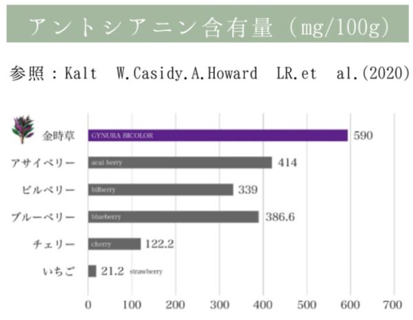 アントシアニン含有量（mg/100g）590。アサイベリーは414、ブルベリーは339。参照：Kalt W. Casididy, A.Howard LR. et al. (2020). 