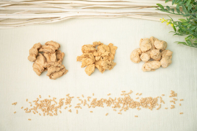 フィレタイプ、ブロックタイプ、ミンチタイプの大豆ミートが並んでいる