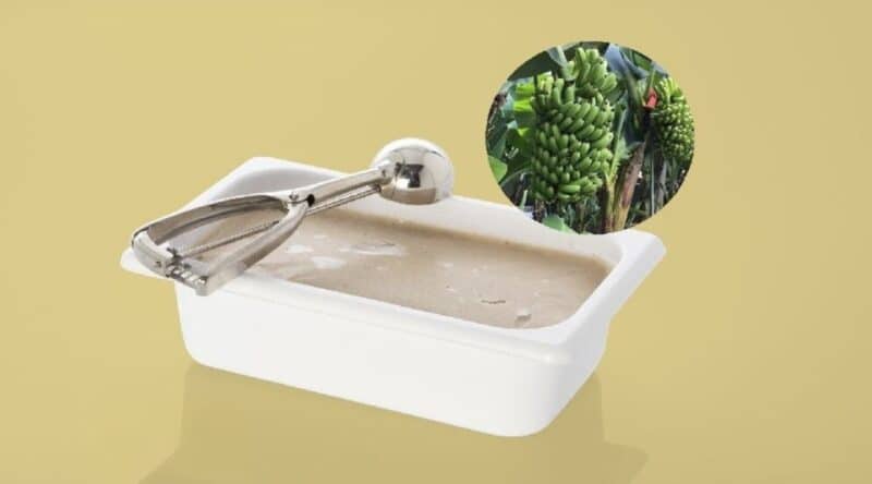 業務用のヴィーガンバナナアイス（宮崎県産の果物を使ったアイスクリーム　C&G miyazaki）