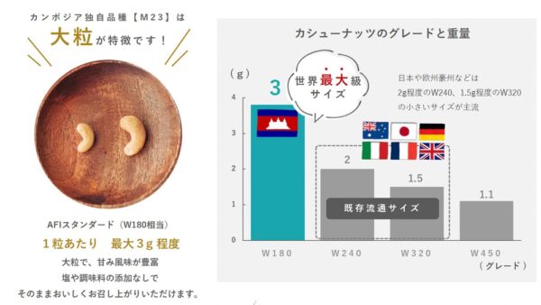 カンボジア独自品種M23(1粒最大約3g)と一般流通品種W240・W320の粒の大きさ・重量を比較したグラフ